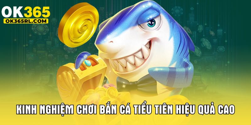 Kinh nghiệm chơi bắn cá tiểu tiên hiệu quả cao Kinh nghiệm chơi bắn cá tiểu tiên hiệu quả cao