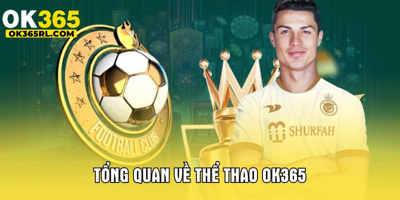 Tổng quan về thể thao OK365 Tổng quan về thể thao OK365